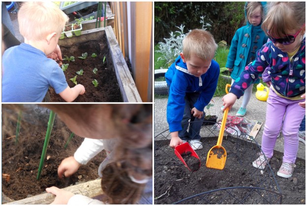 preschool activities, gardening